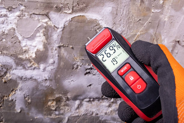 Best Mold Testing  in Electra, TX